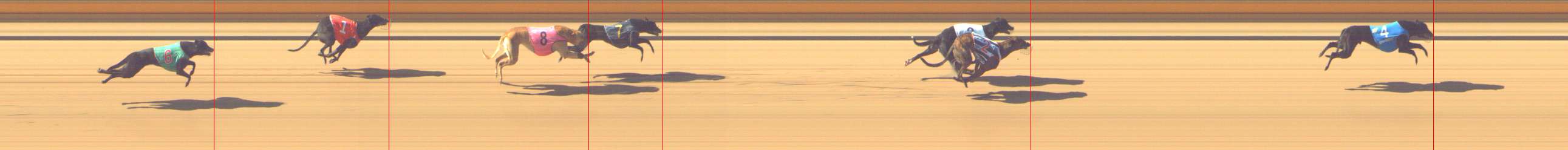 Photo finish for Shepparton Race 1