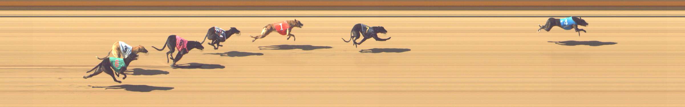 Photo finish for Shepparton Race 2