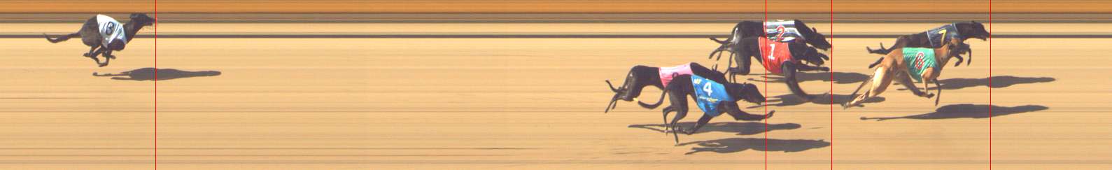 Photo finish for Shepparton Race 3