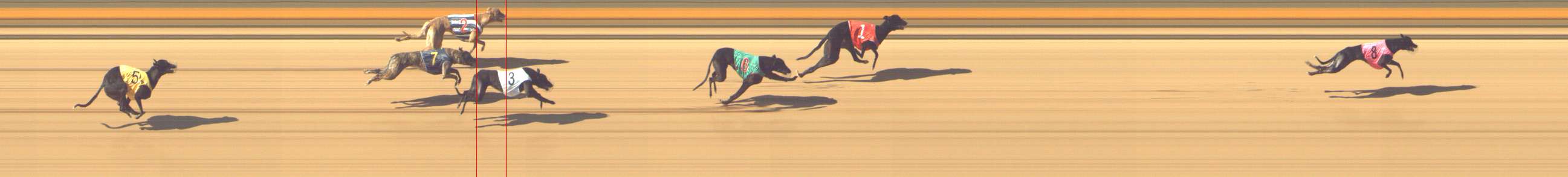 Photo finish for Shepparton Race 4