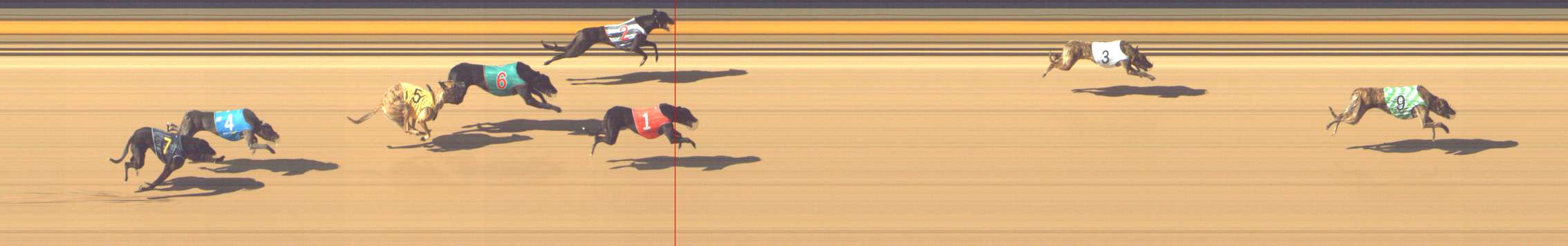 Photo finish for Shepparton Race 5