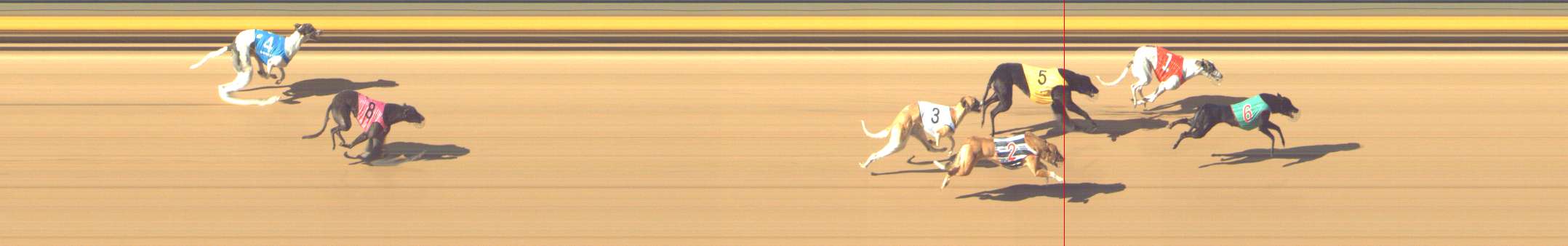 Photo finish for Shepparton Race 6