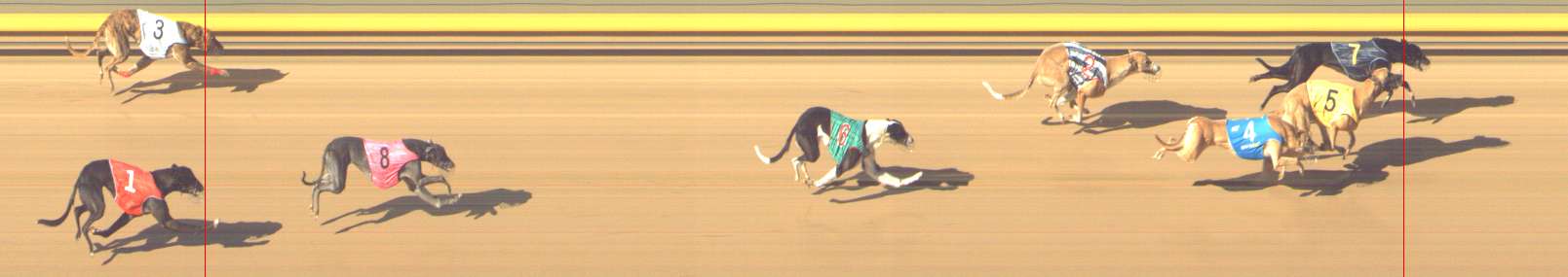 Photo finish for Shepparton Race 7