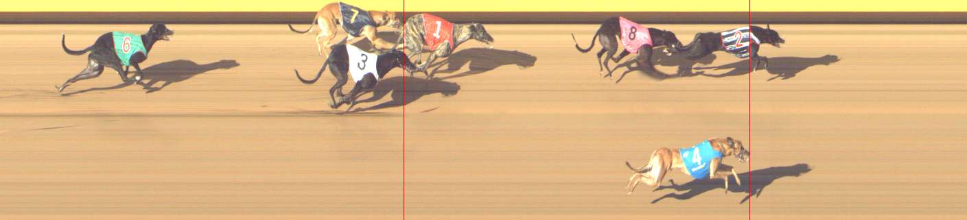 Photo finish for Shepparton Race 9