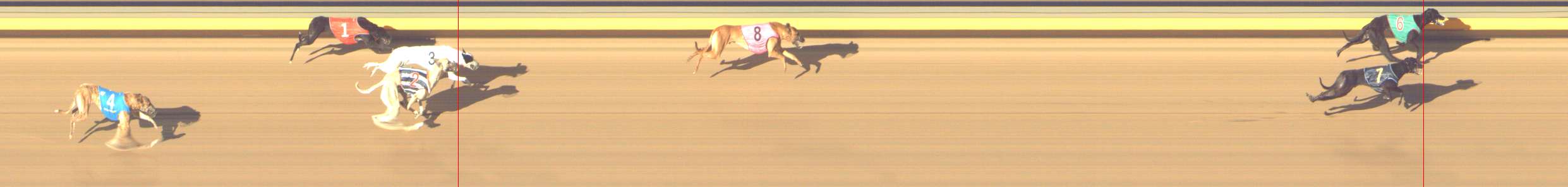 Photo finish for Shepparton Race 10