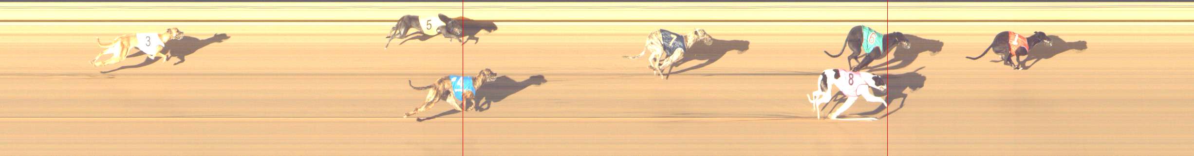 Photo finish for Shepparton Race 12