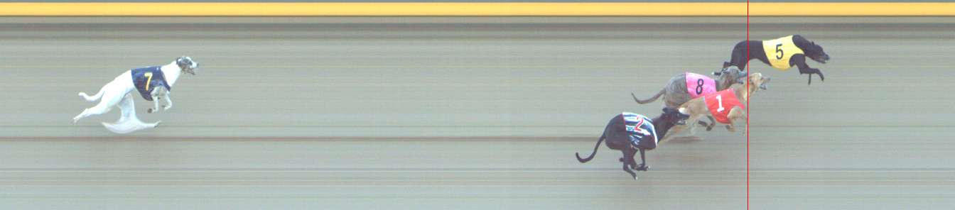 Photo finish for Shepparton Race 1