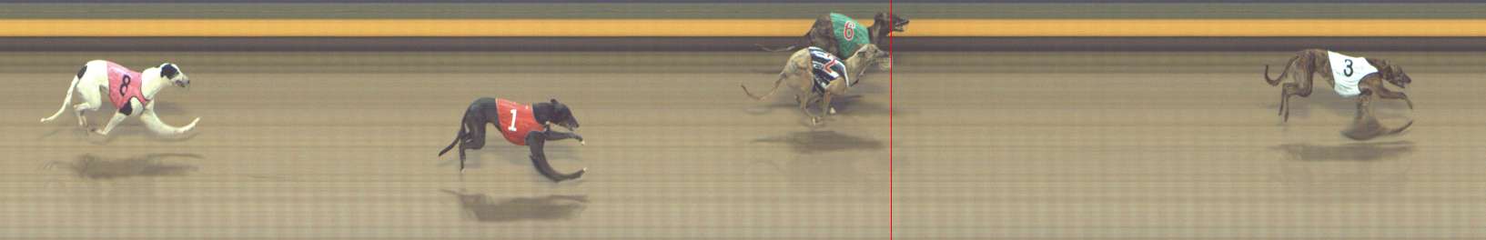 Photo finish for Shepparton Race 2