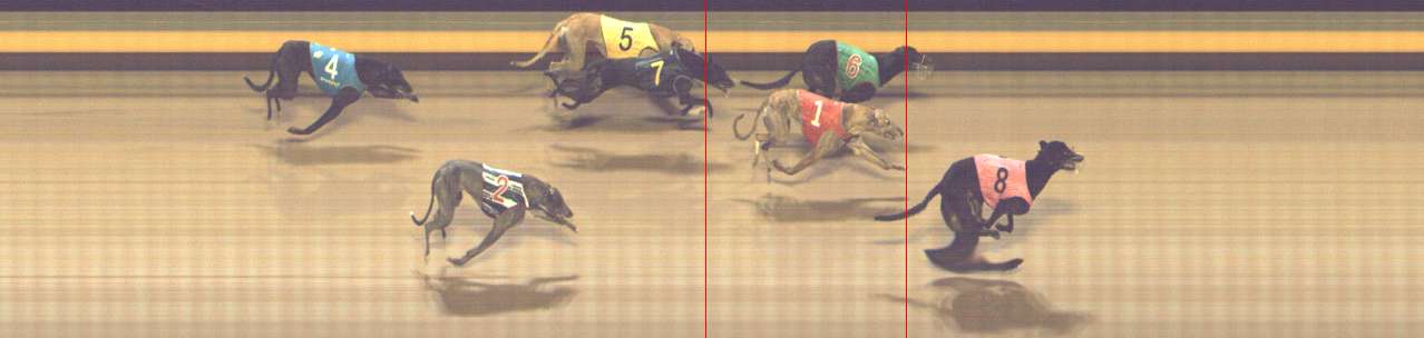 Photo finish for Shepparton Race 3