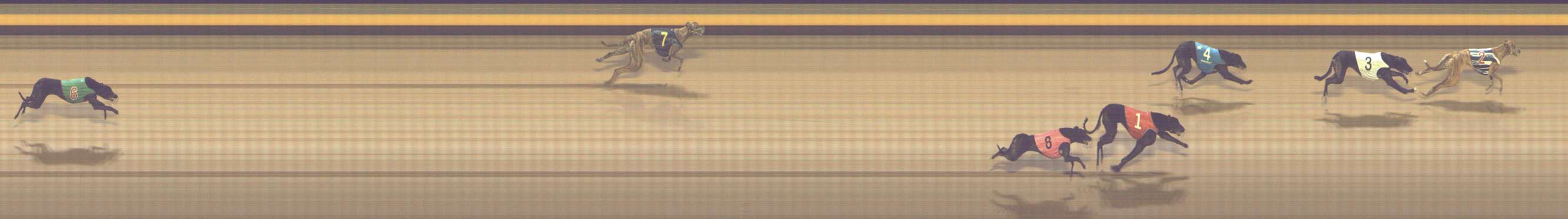 Photo finish for Shepparton Race 5