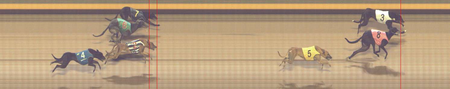 Photo finish for Shepparton Race 6