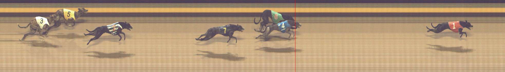 Photo finish for Shepparton Race 7