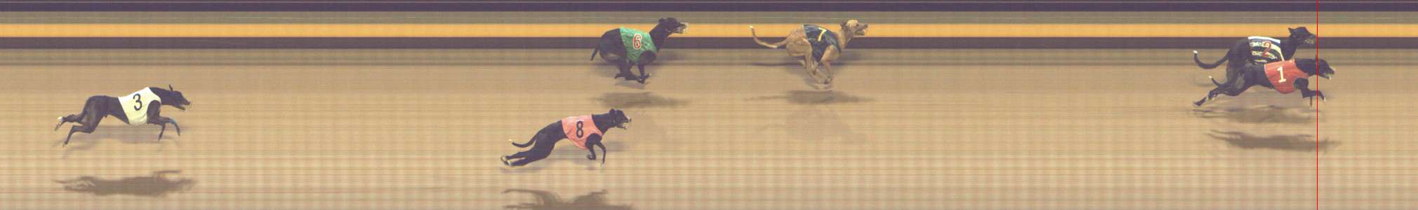 Photo finish for Shepparton Race 8