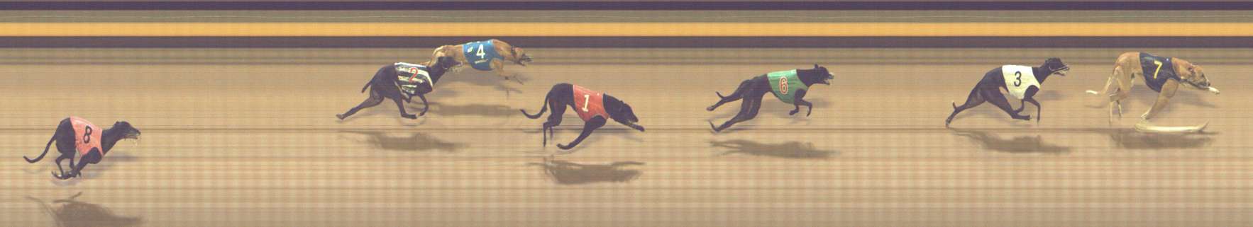 Photo finish for Shepparton Race 9