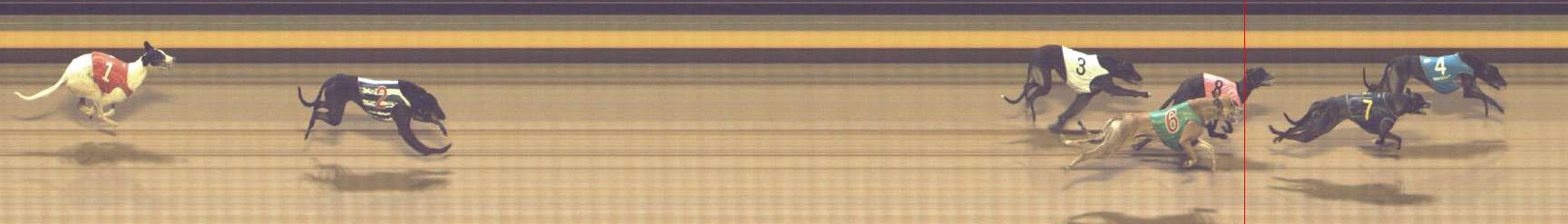 Photo finish for Shepparton Race 10