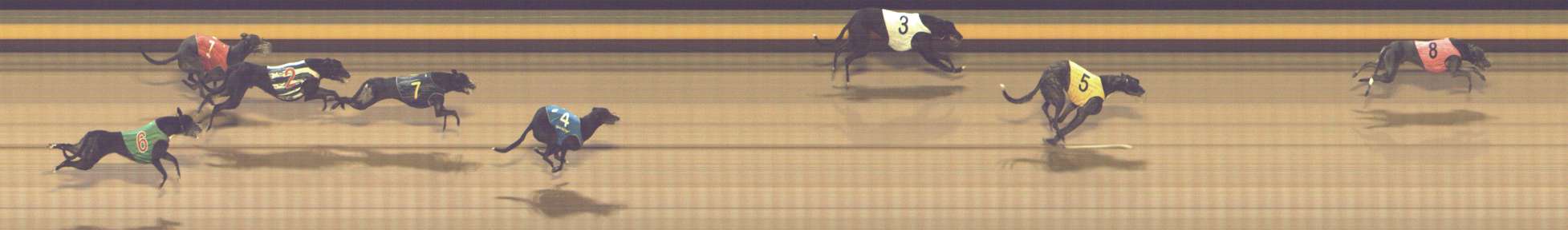 Photo finish for Shepparton Race 11