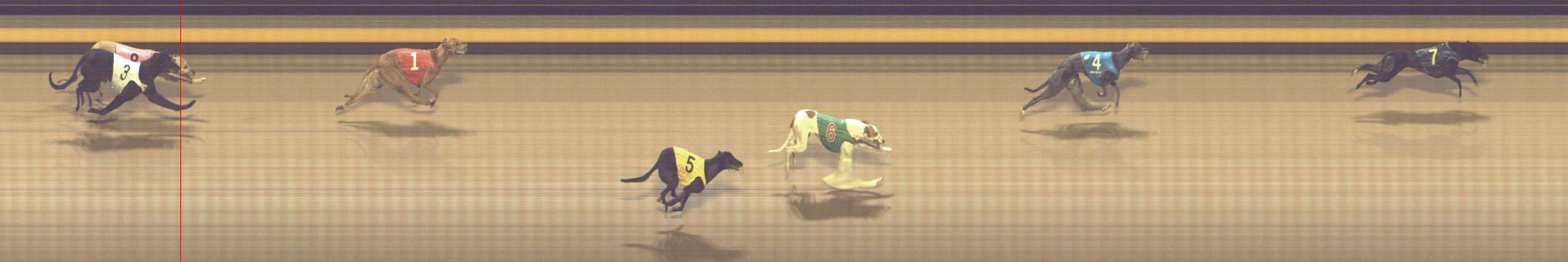 Photo finish for Shepparton Race 12