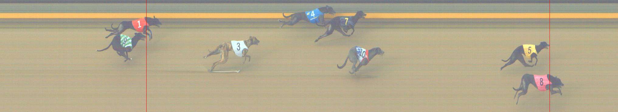 Photo finish for Shepparton Race 2