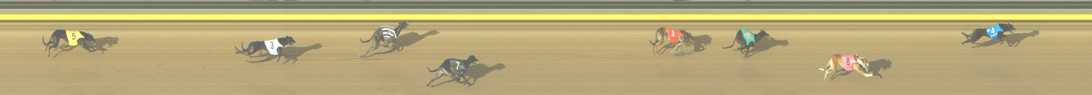 Photo finish for Shepparton Race 3