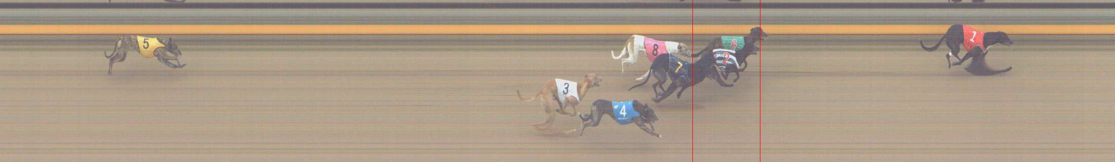 Photo finish for Shepparton Race 5