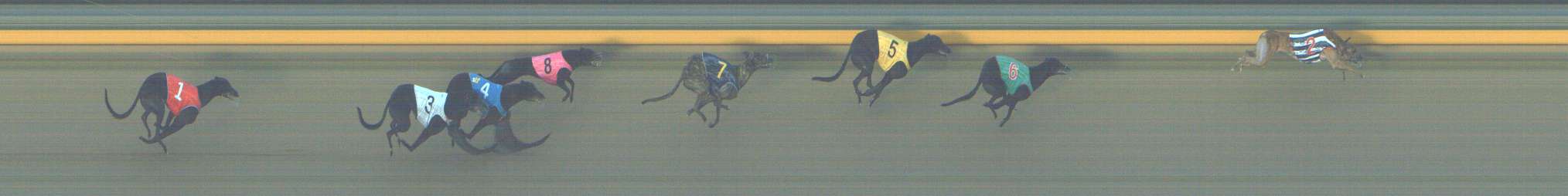 Photo finish for Shepparton Race 7