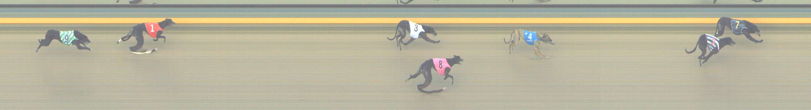 Photo finish for Shepparton Race 8