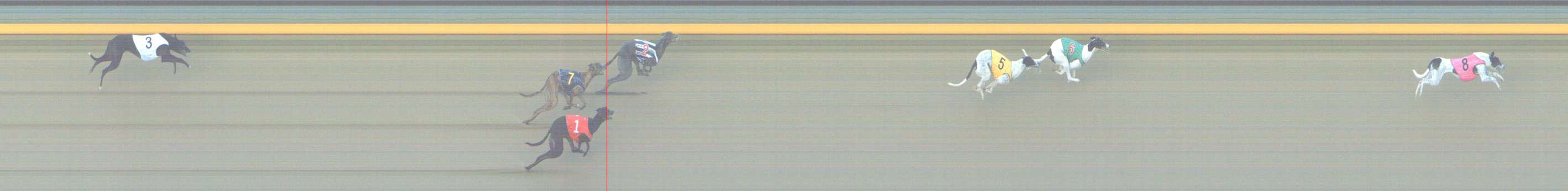 Photo finish for Shepparton Race 9