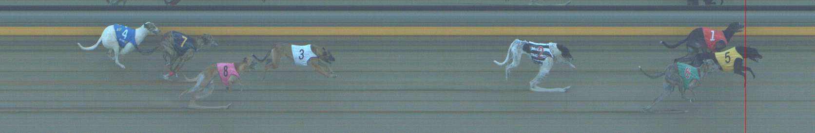 Photo finish for Shepparton Race 10