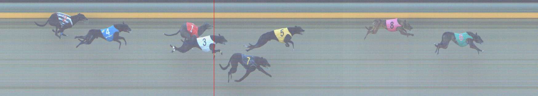 Photo finish for Shepparton Race 11