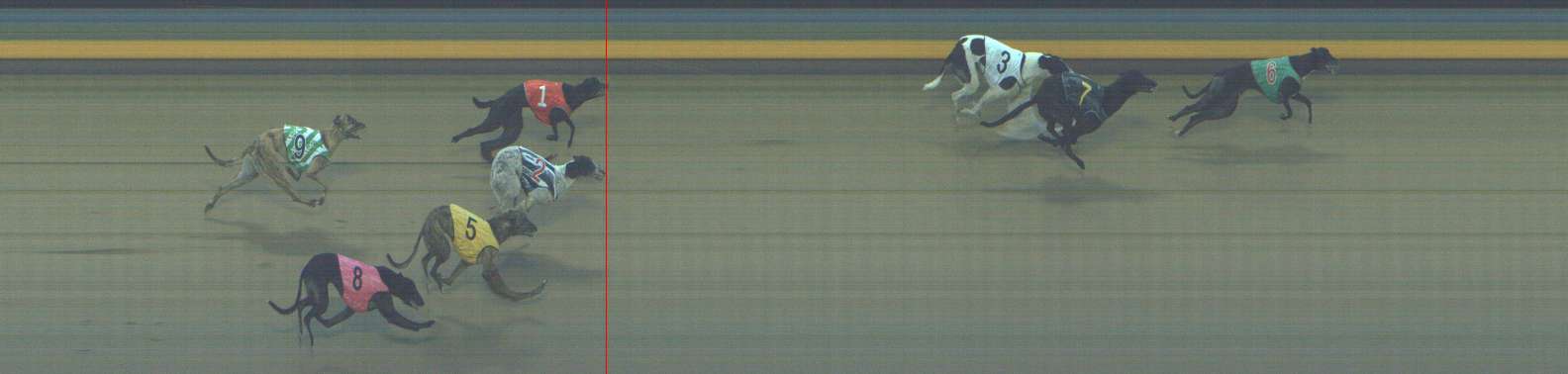 Photo finish for Shepparton Race 12