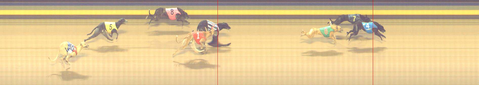 Photo finish for Shepparton Race 13