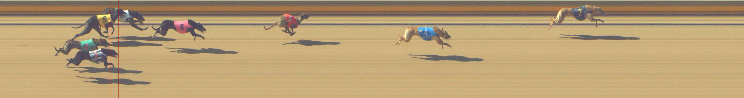 Photo finish for Shepparton Race 1