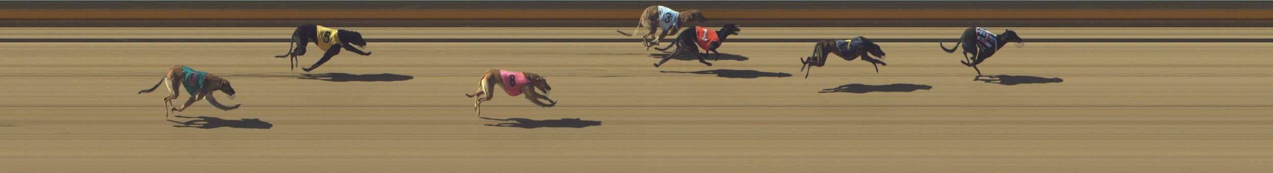 Photo finish for Shepparton Race 2