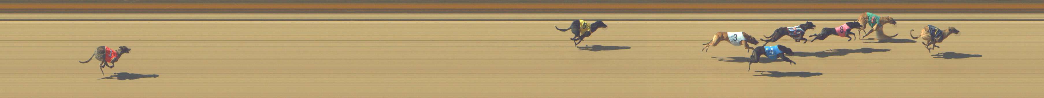 Photo finish for Shepparton Race 3