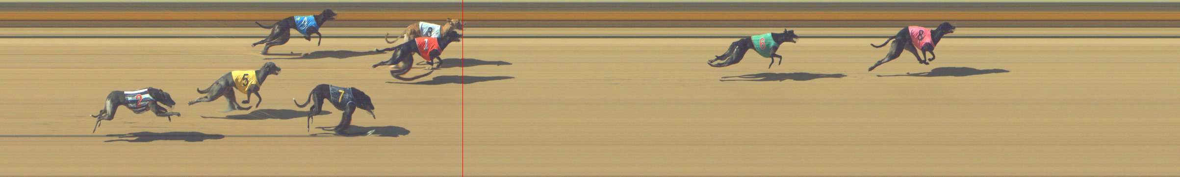 Photo finish for Shepparton Race 4