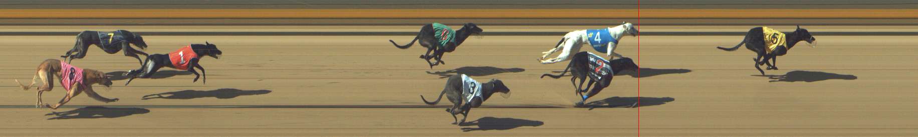 Photo finish for Shepparton Race 5