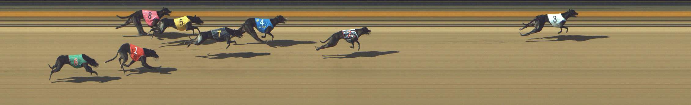 Photo finish for Shepparton Race 6