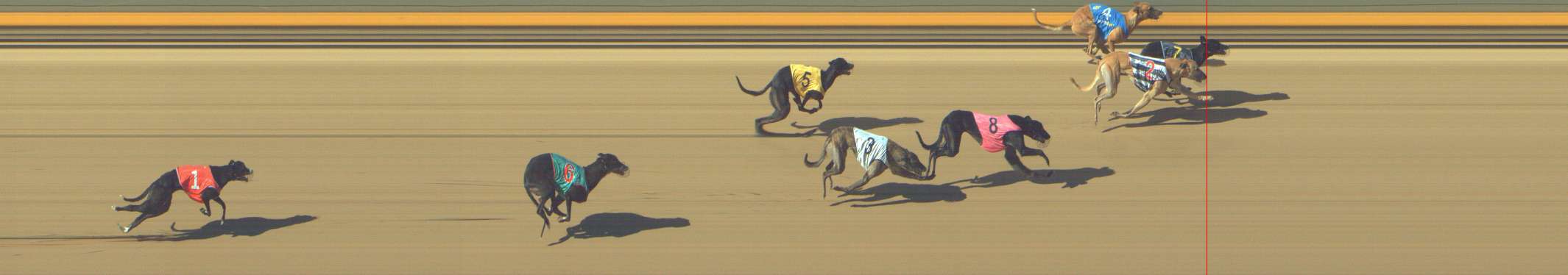 Photo finish for Shepparton Race 7