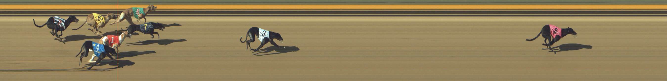 Photo finish for Shepparton Race 8