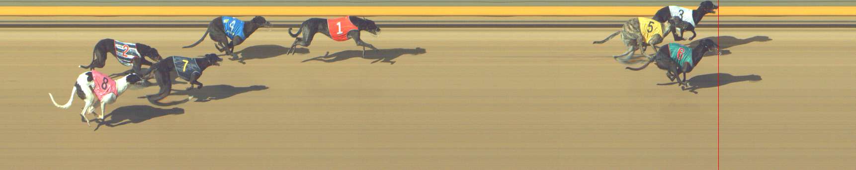 Photo finish for Shepparton Race 9