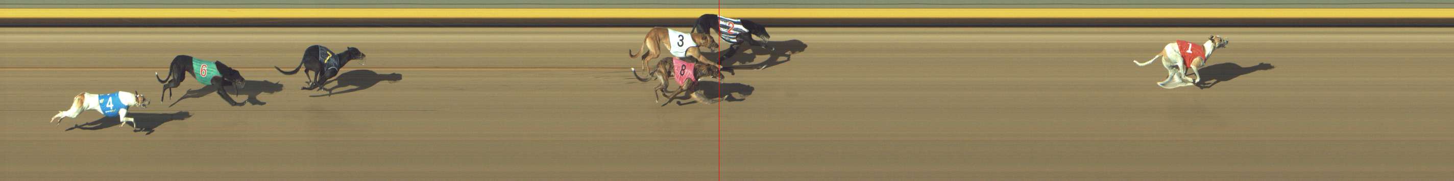 Photo finish for Shepparton Race 11