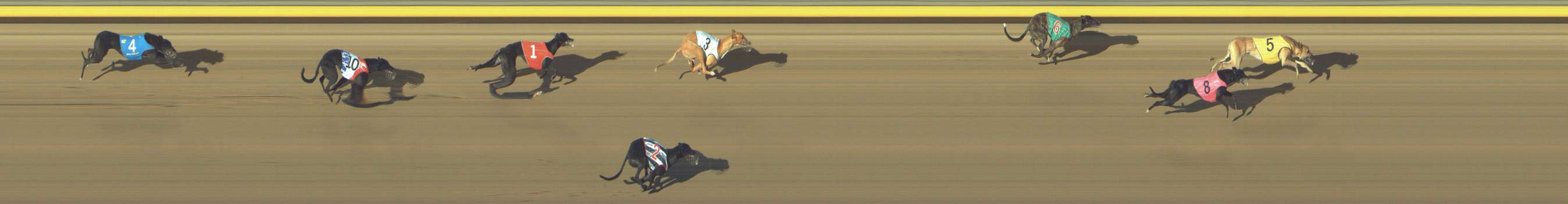 Photo finish for Shepparton Race 13