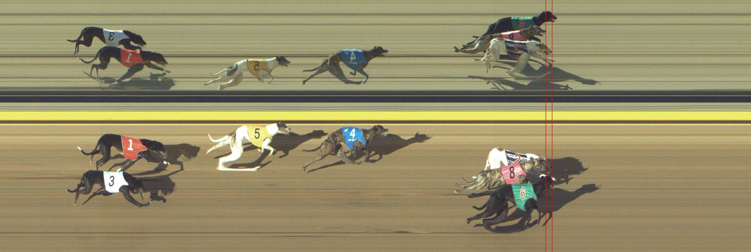 Photo finish for Shepparton Race 14