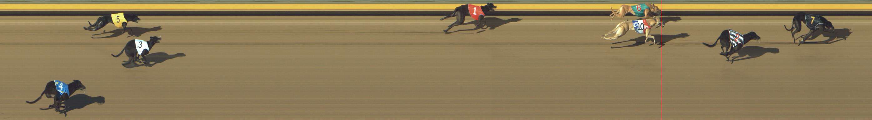 Photo finish for Shepparton Race 1