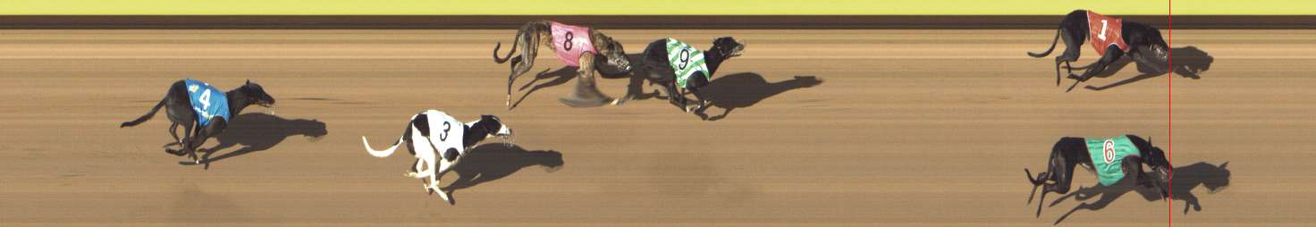 Photo finish for Shepparton Race 2