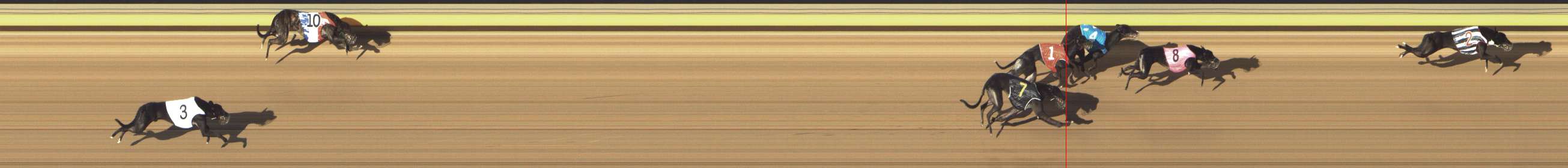 Photo finish for Shepparton Race 3