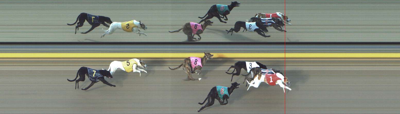 Photo finish for Shepparton Race 4