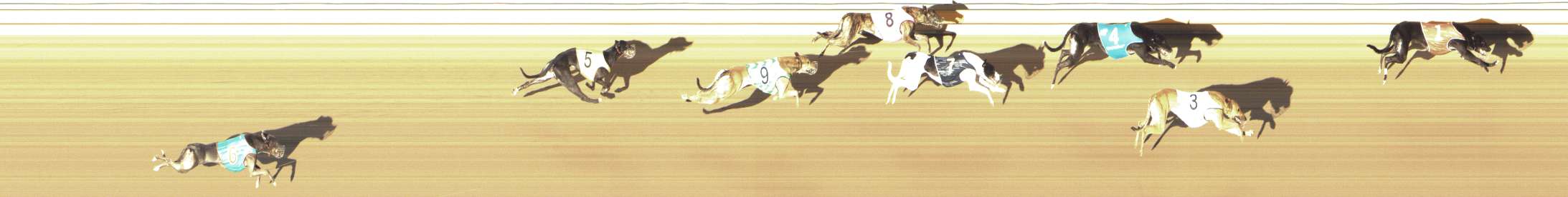 Photo finish for Shepparton Race 5