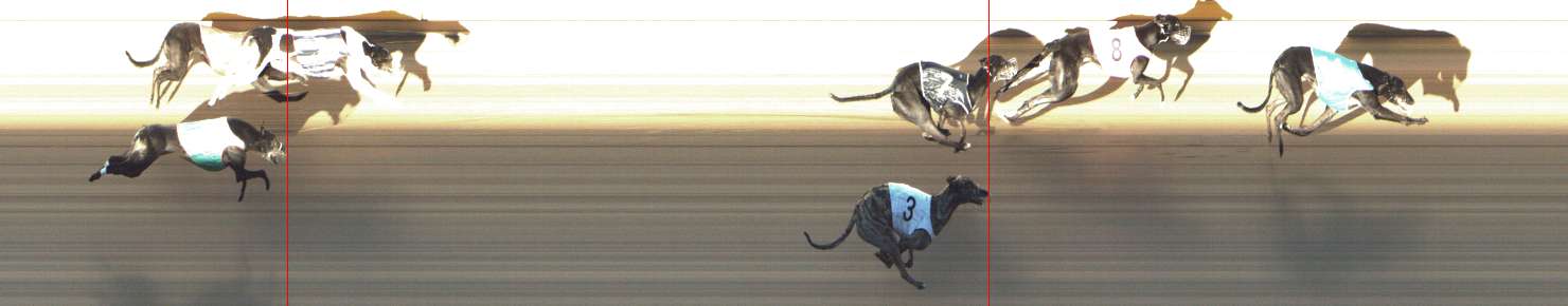 Photo finish for Shepparton Race 6