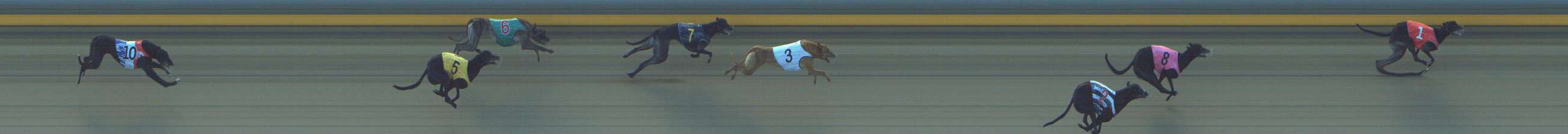 Photo finish for Shepparton Race 7